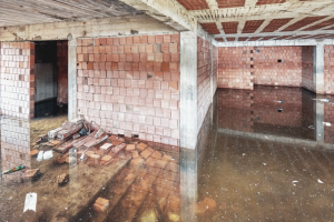 Flooded Basement