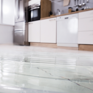 water on kitchen floor